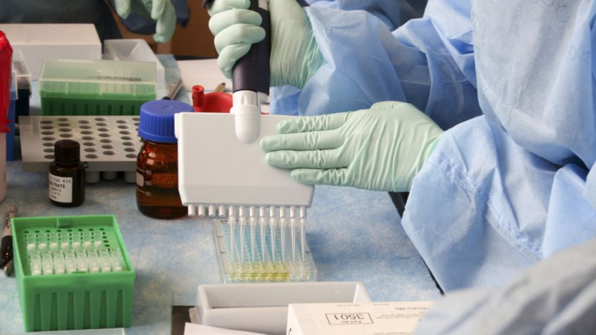 арктика нефть экология наука