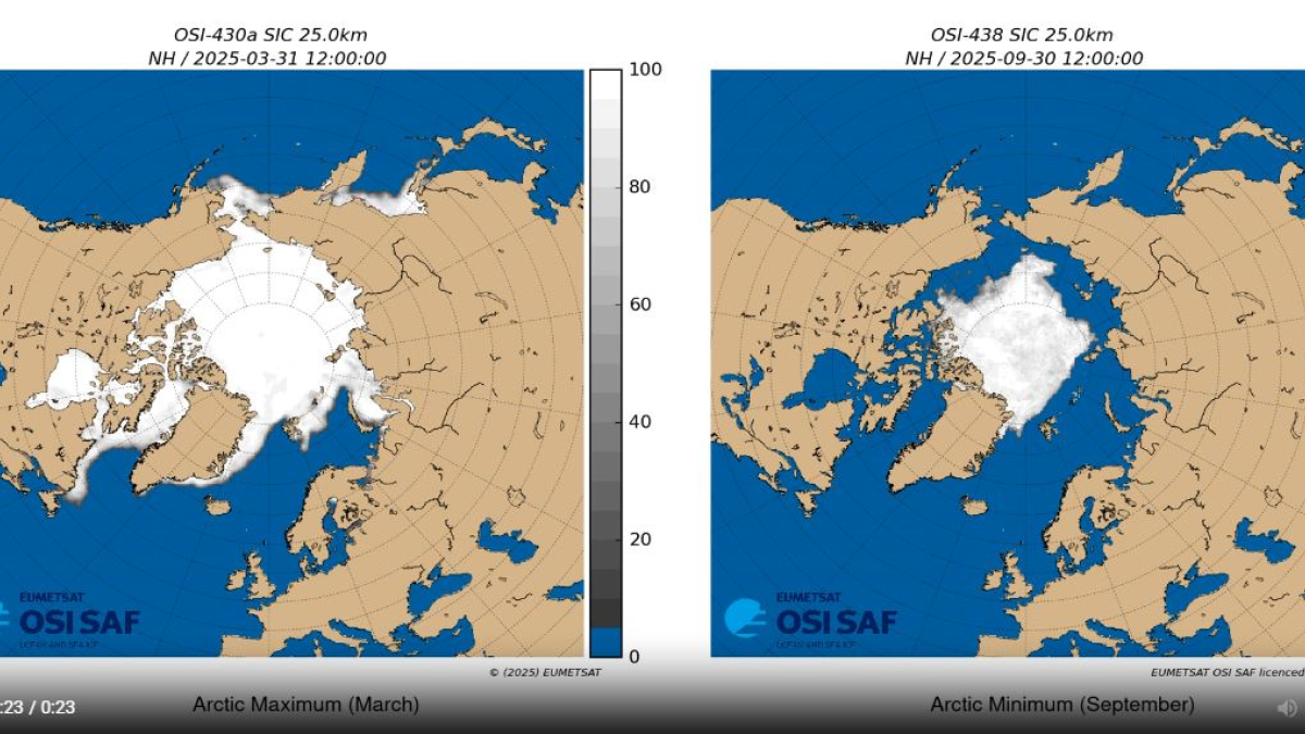 арктика климат лед экология