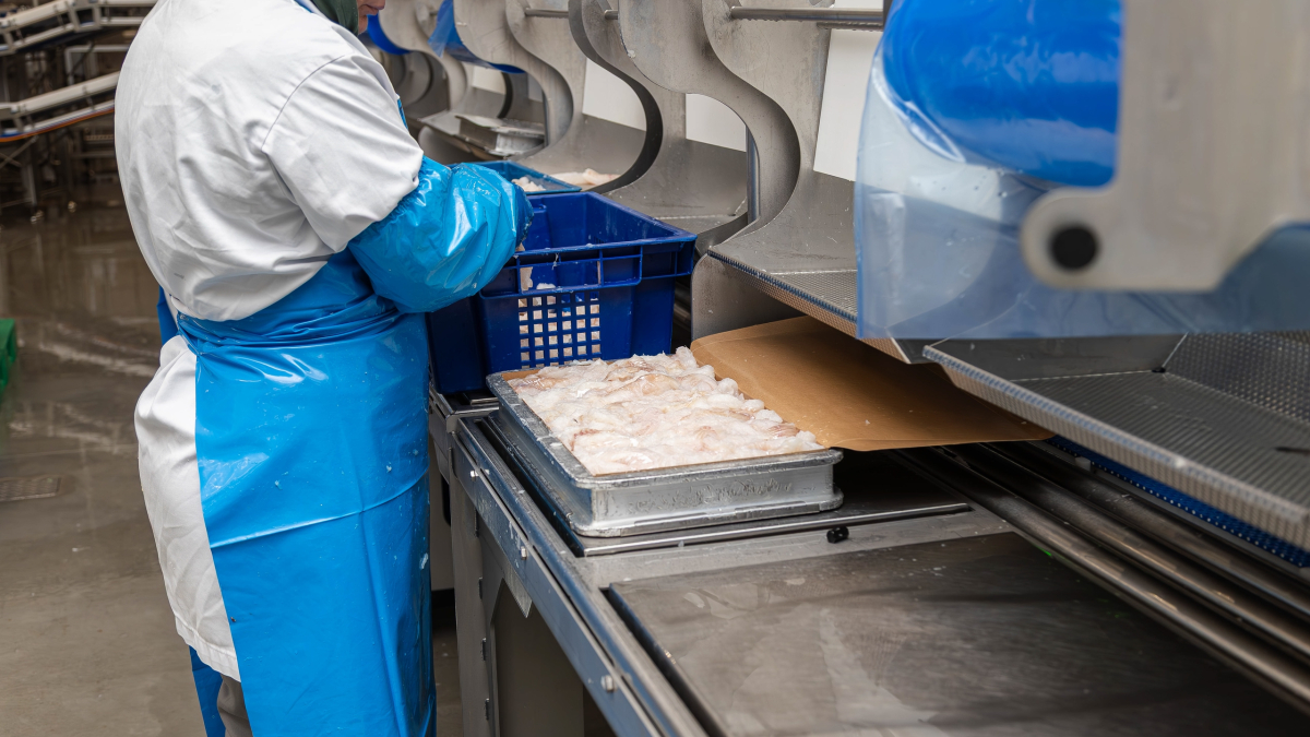 Производство филе трески