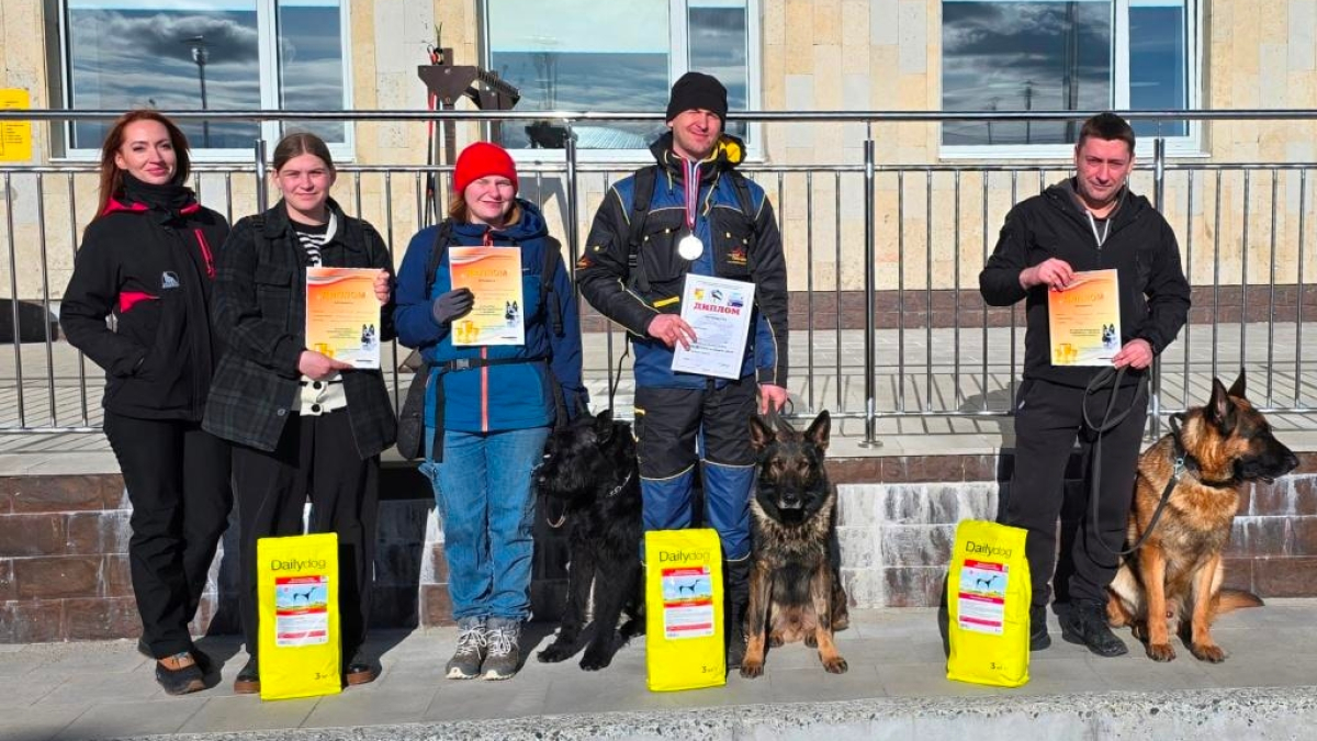 апатиты собака мурманск кинология