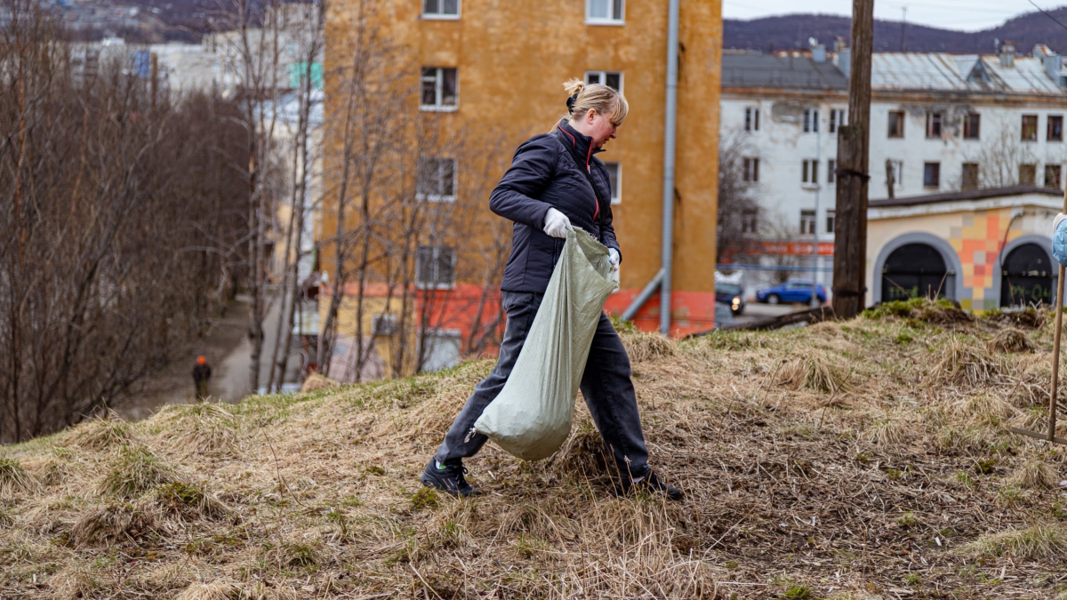 мончегорск субботник акция