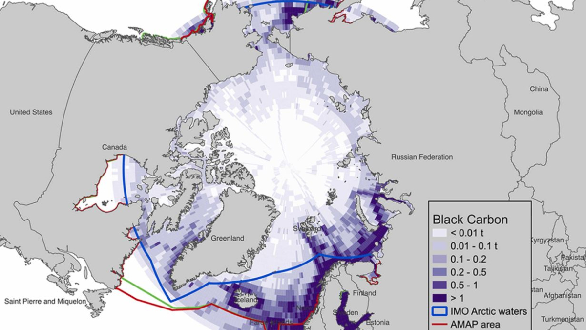 арктика климат экология