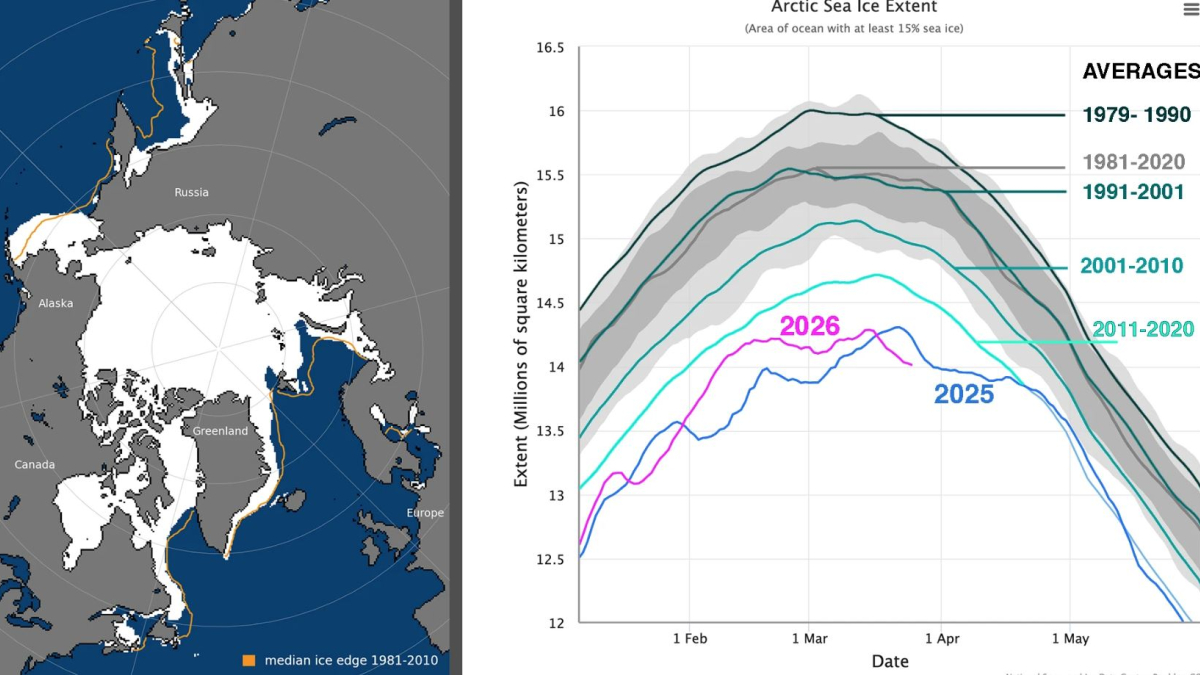 арктика температура лед климат