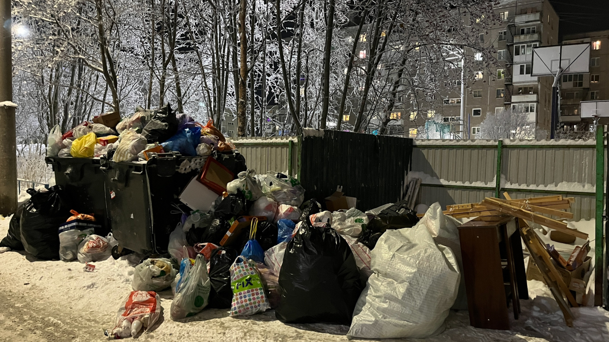 Пакеты на мусорке