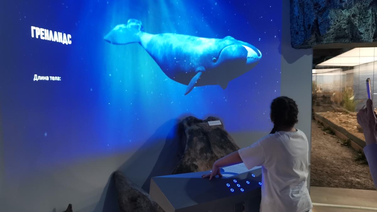 мурманск музей культура