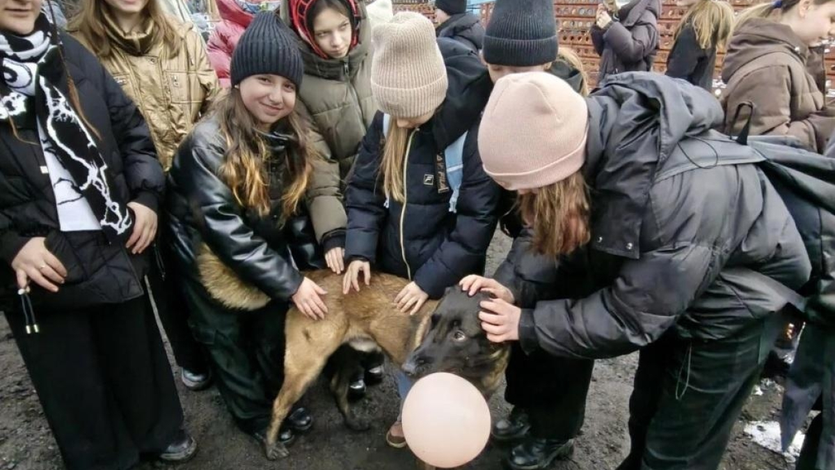 уфсин мурманск кинологи собака дети