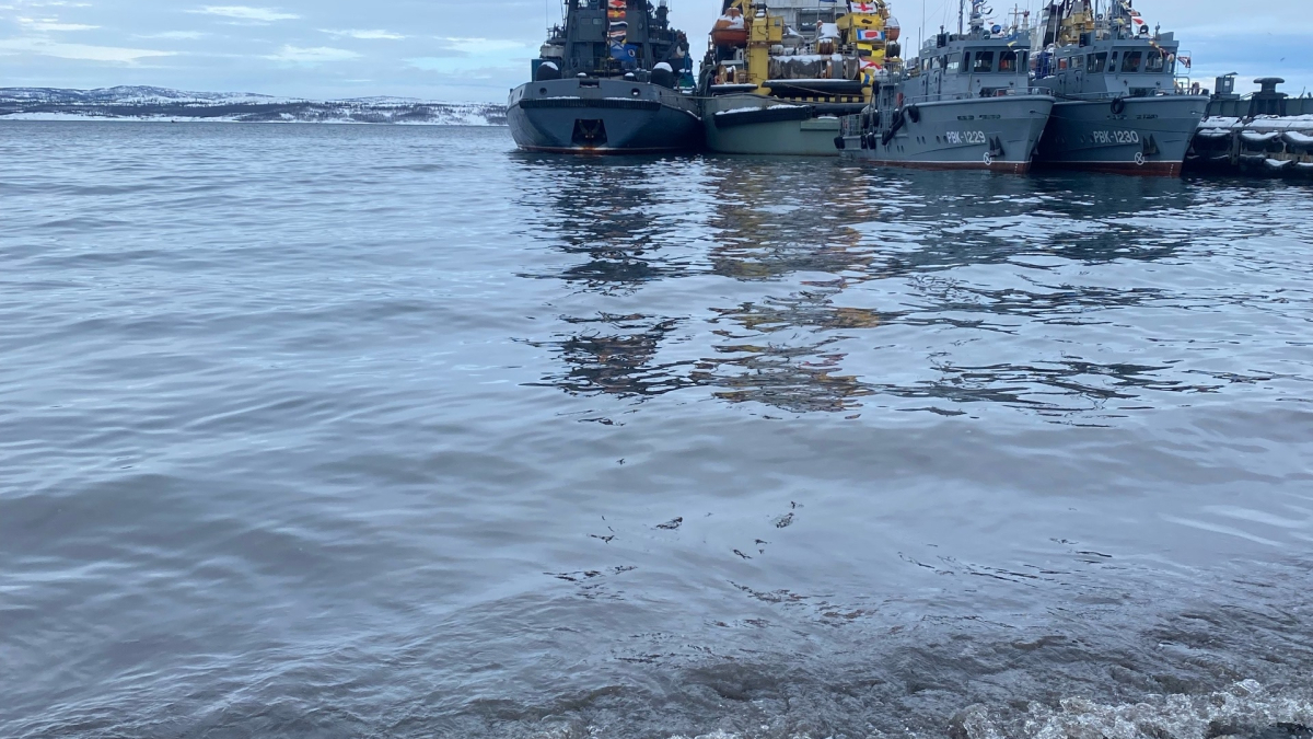 мурманск контроль порядок