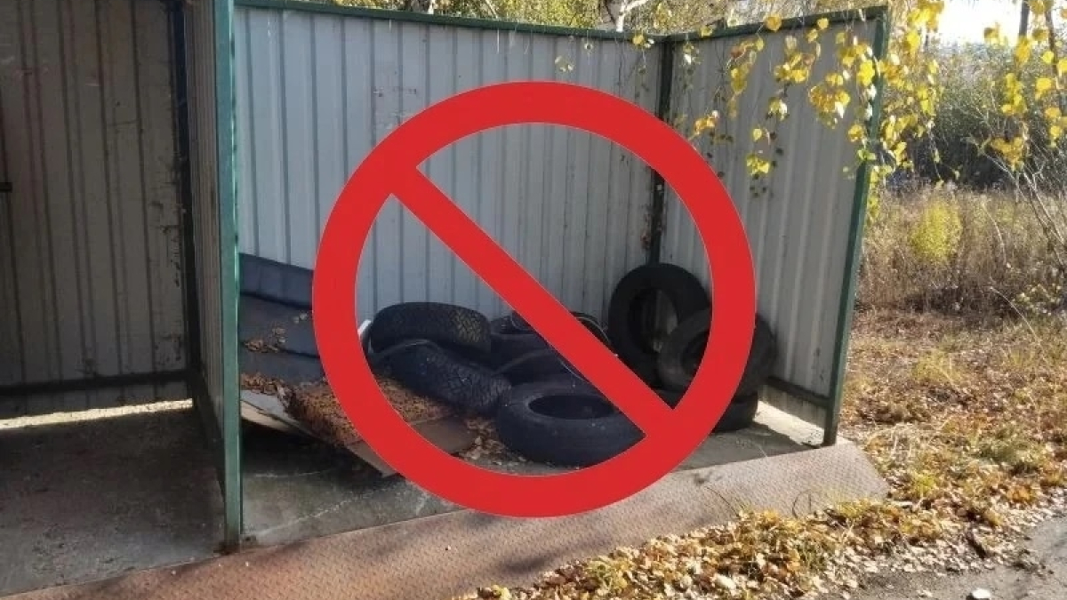 мурманск видяево экология шины