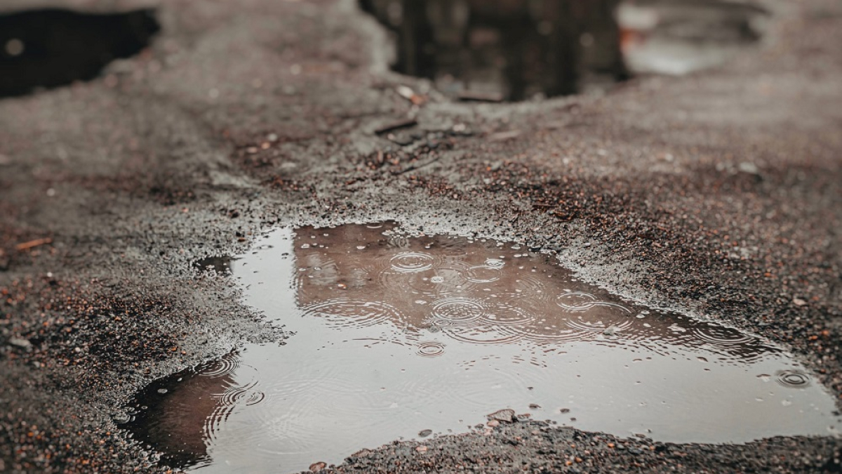 капли дождя в луже