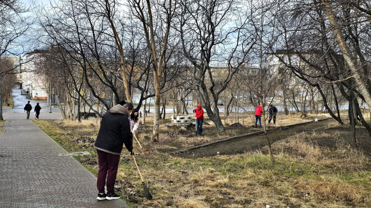 Мурманск Печенга субботник