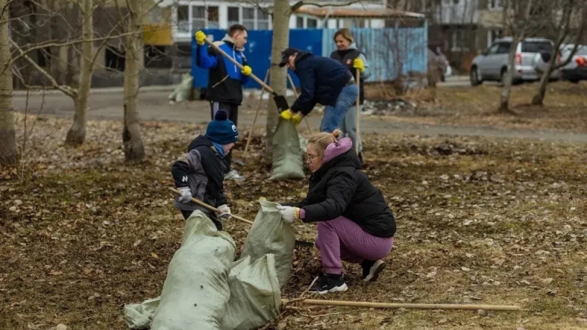 люди убирают мусор
