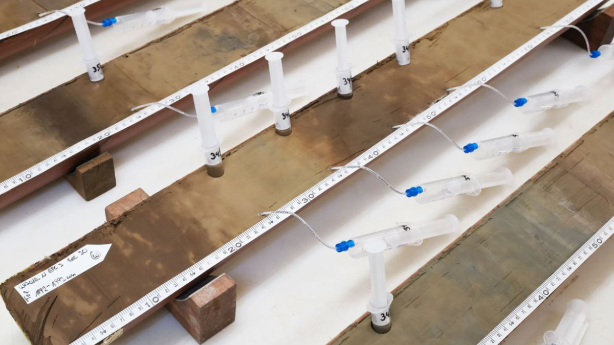 арктика история климат экология