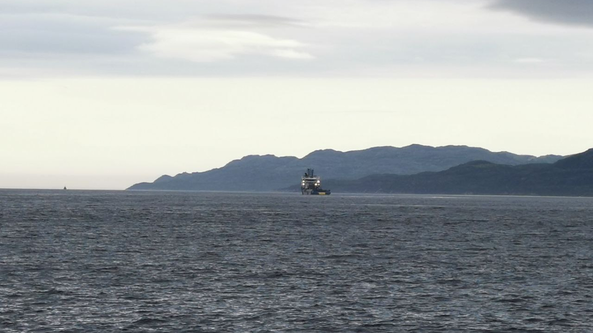 арктика севморпуть мурманск логистика