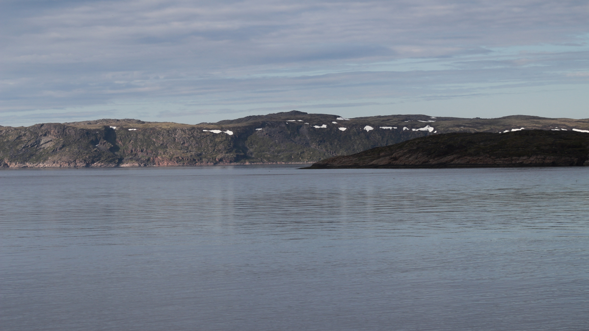 Арктика море Баренцево рыбалка треска