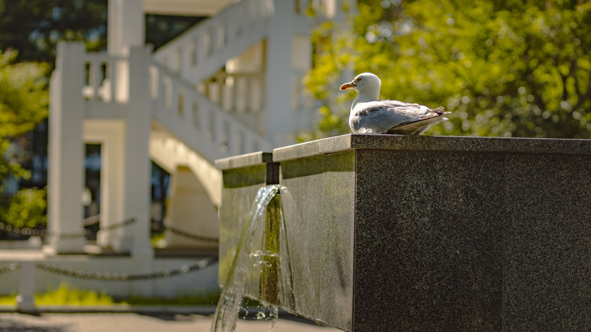 мурманск фонтан вода