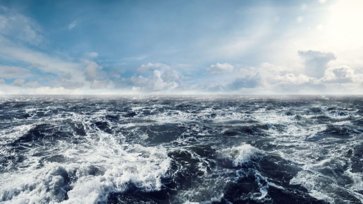 арктика климат экология