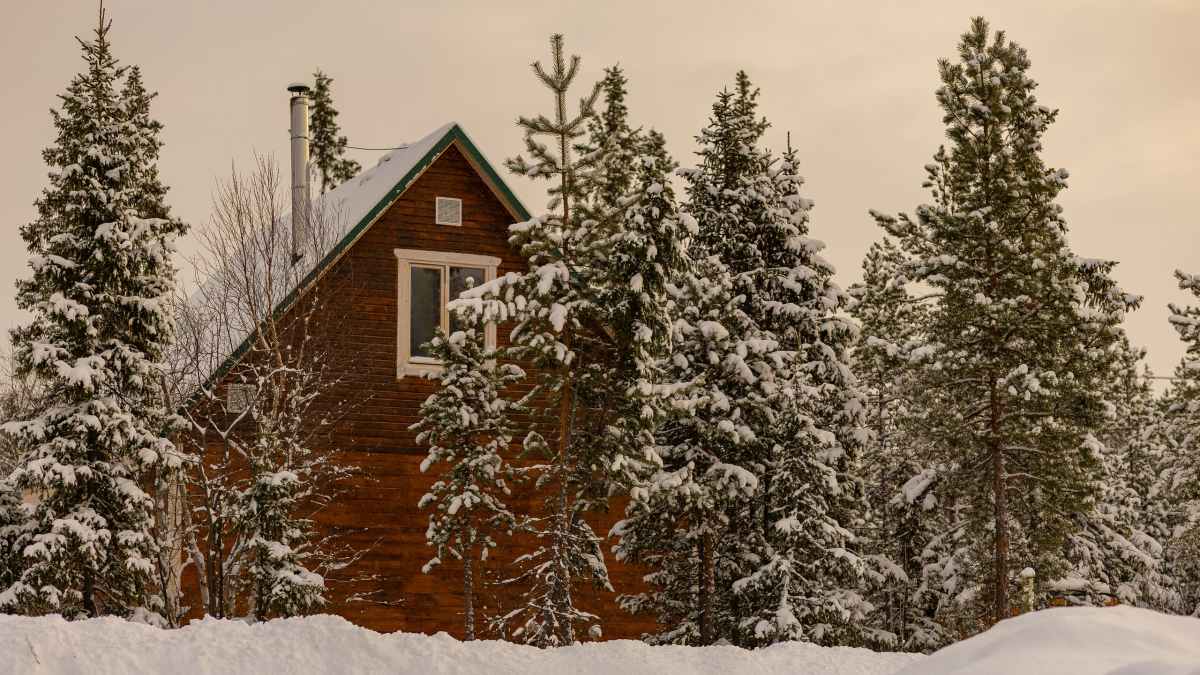 арктика люди экономика население