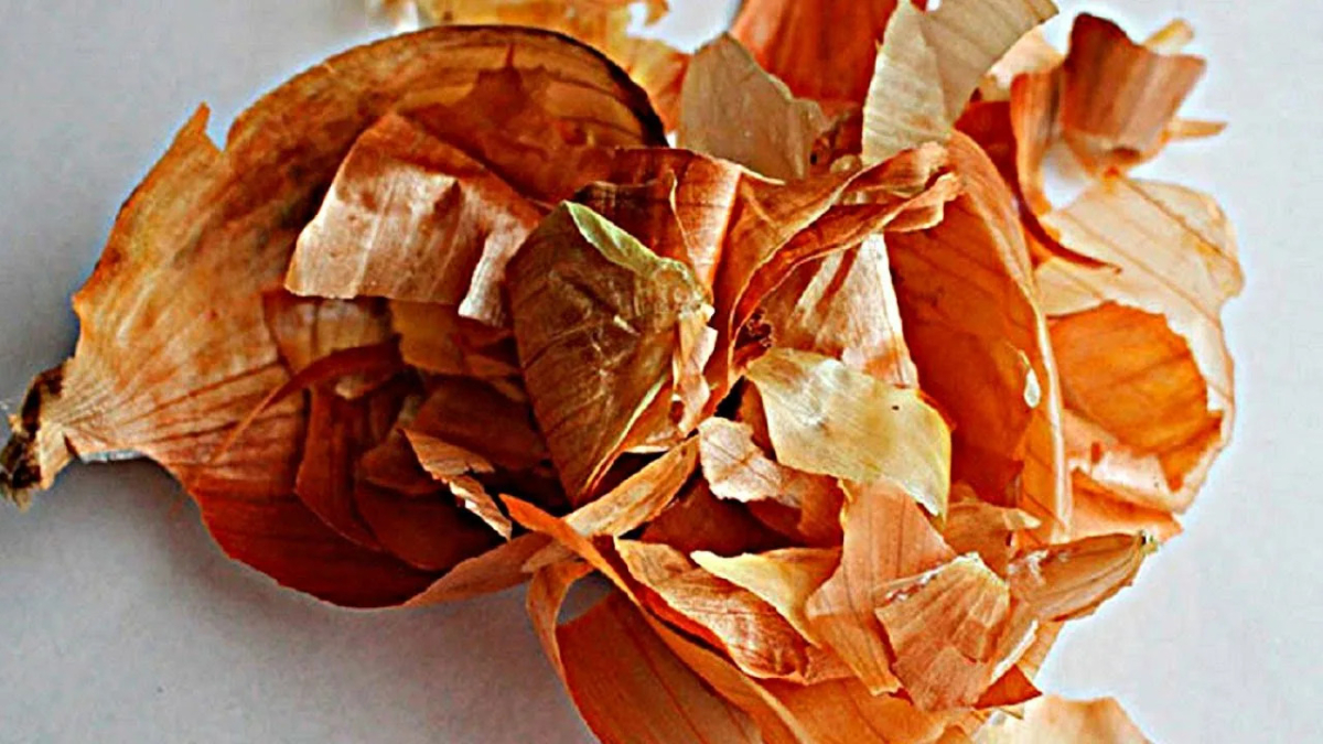 Луковая шелуха