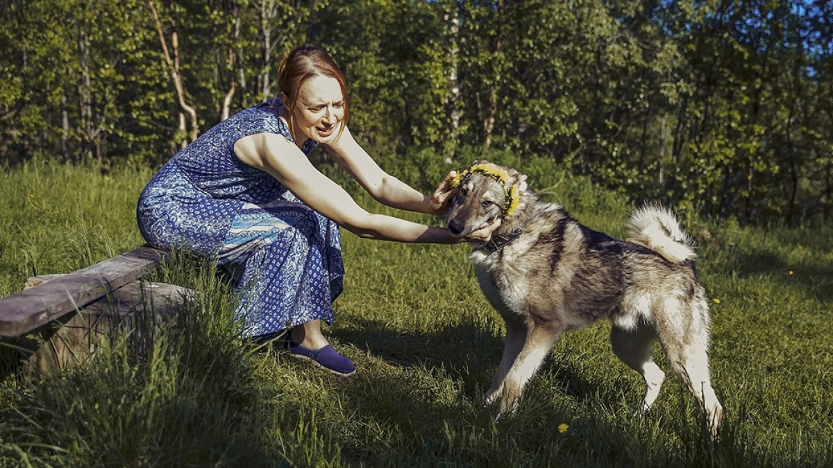 девушка играет с серой собакой