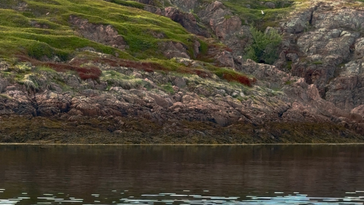 мурманск териберка субботник