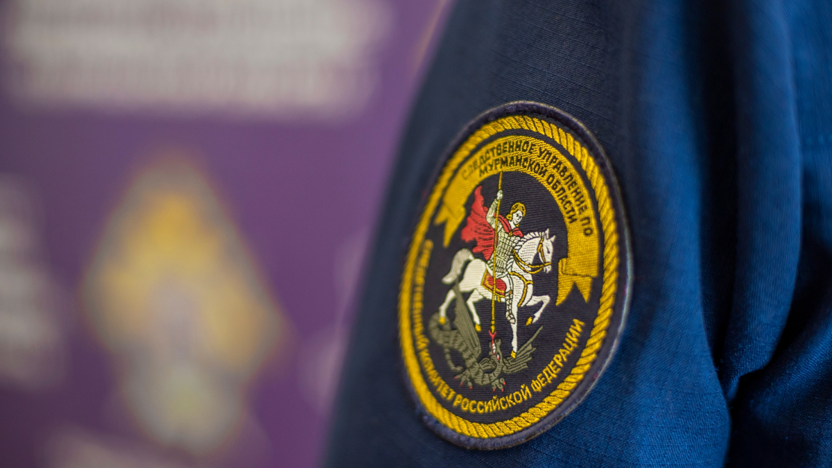 Женщине грозит до двух лет лишения свободы