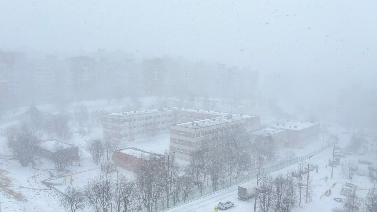 Мурманск в метель
