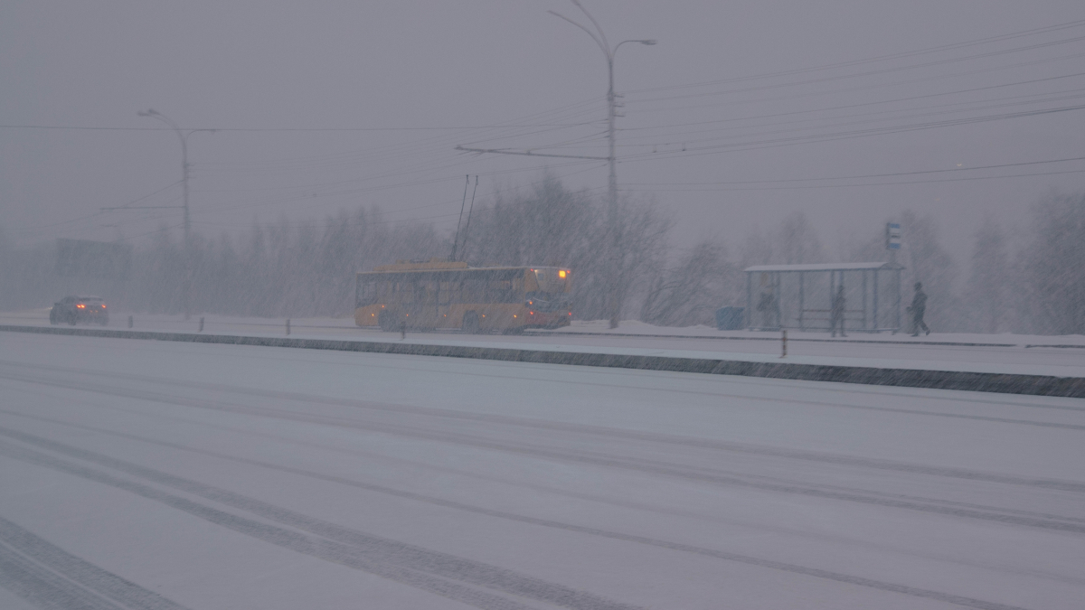 троллейбус в метель