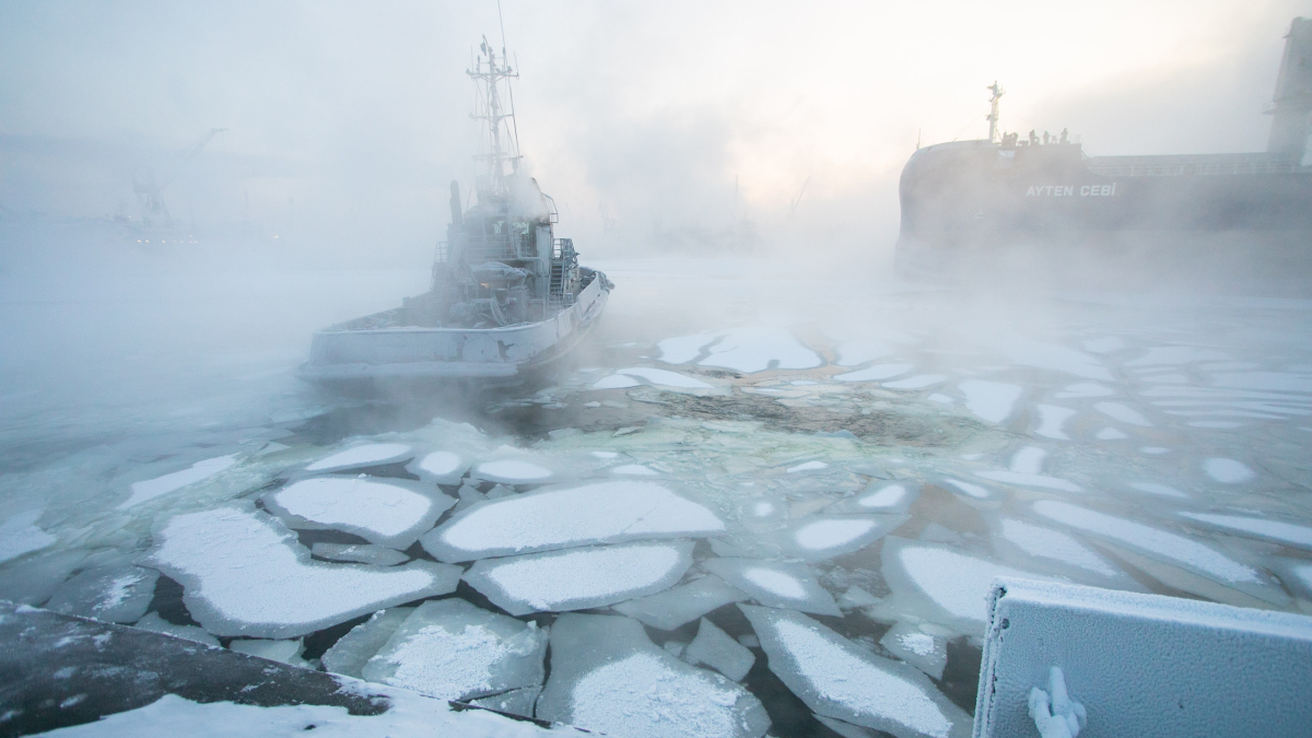 арктика лед смп