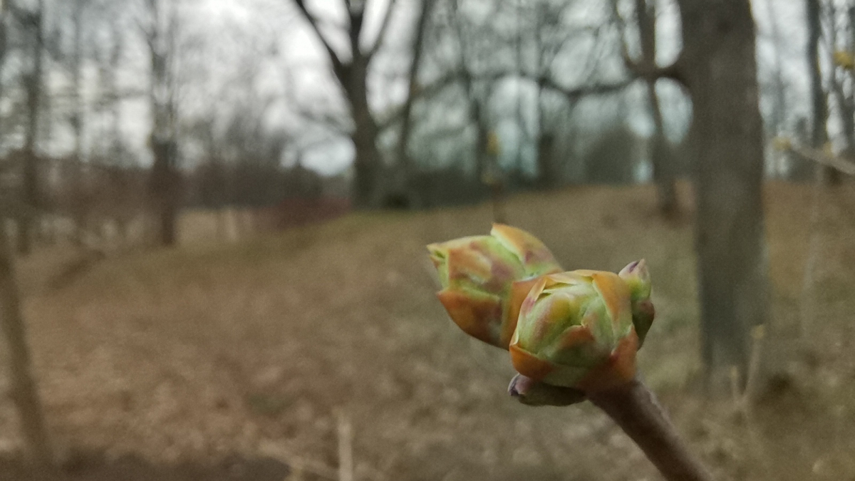 Мурманск, 1 Мая, библиотека