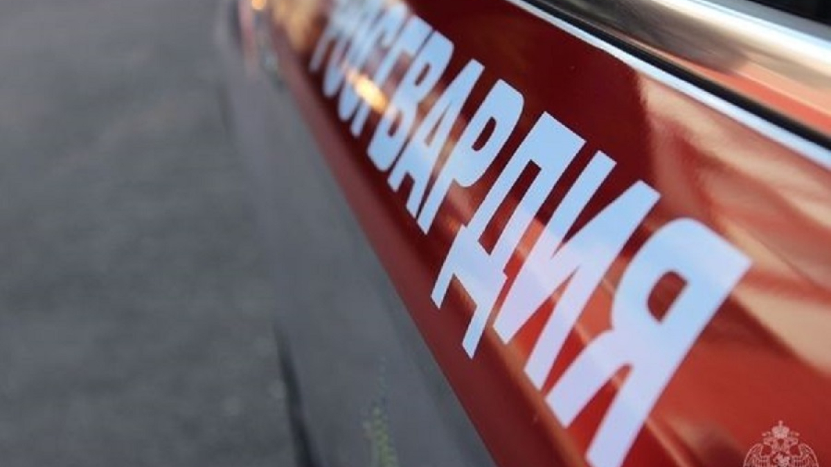 надпись Росгвардия на автомобиле