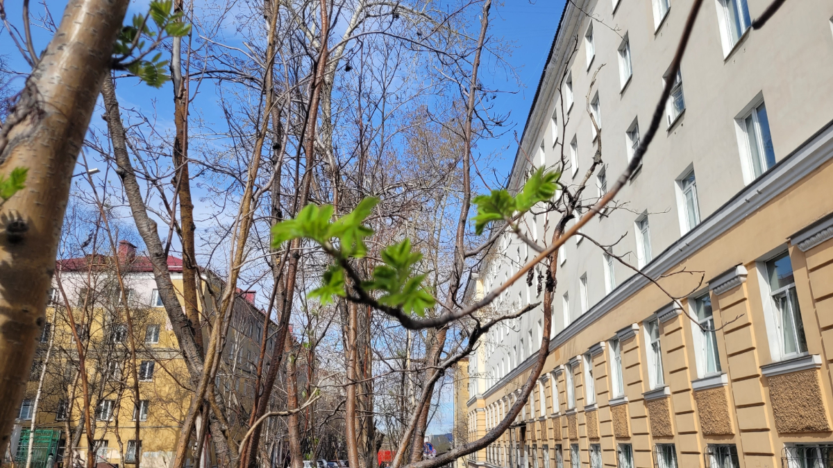 Весенний Мурманск