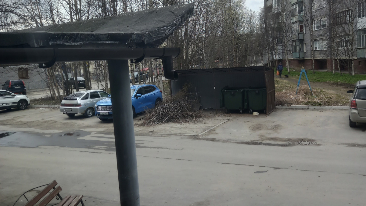 Свалка из веток