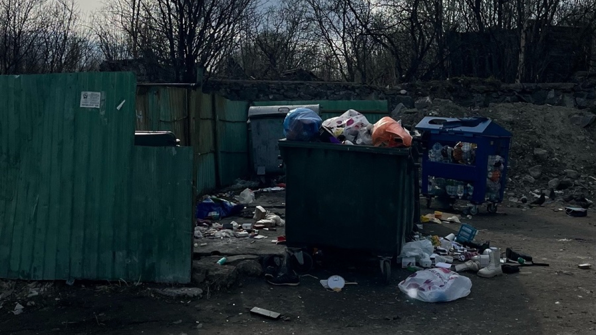 мусор возле контейнерной площадки