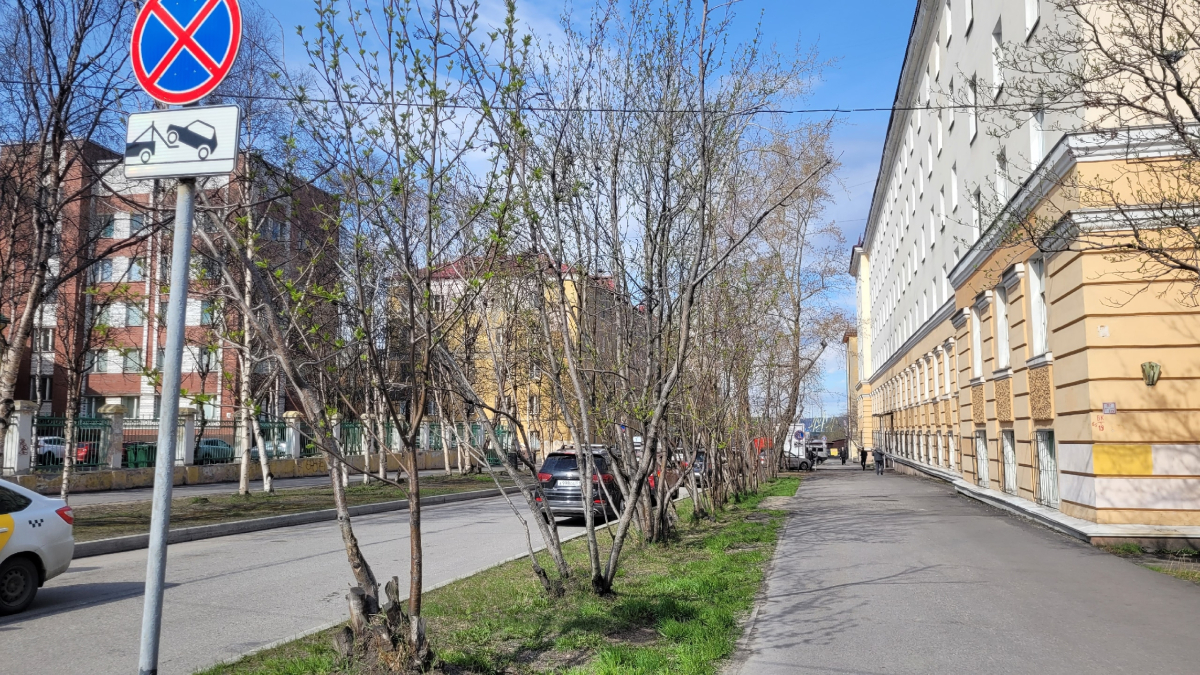 Озеленение Мурманска