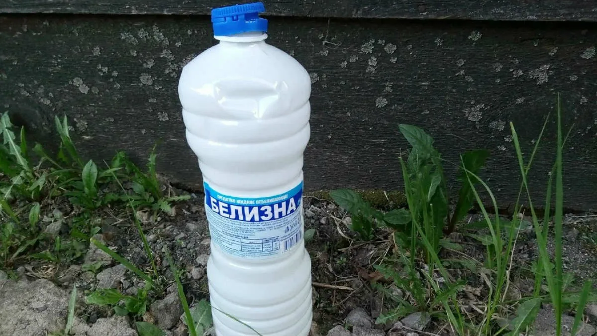 белизна в саду