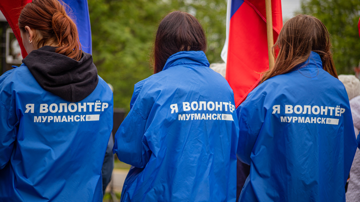 волонтеры мурманска