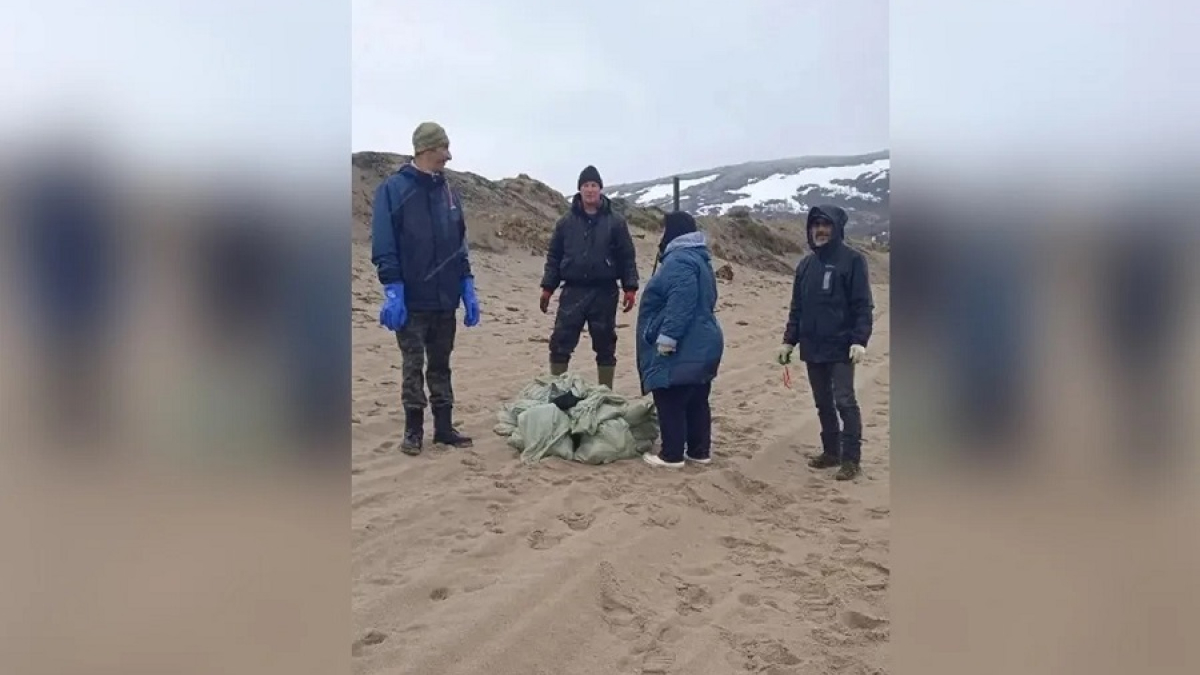 волонтеры проводят уборку пляжа