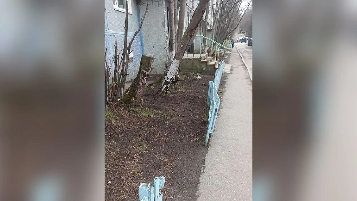 деревянный забор возле палисадника