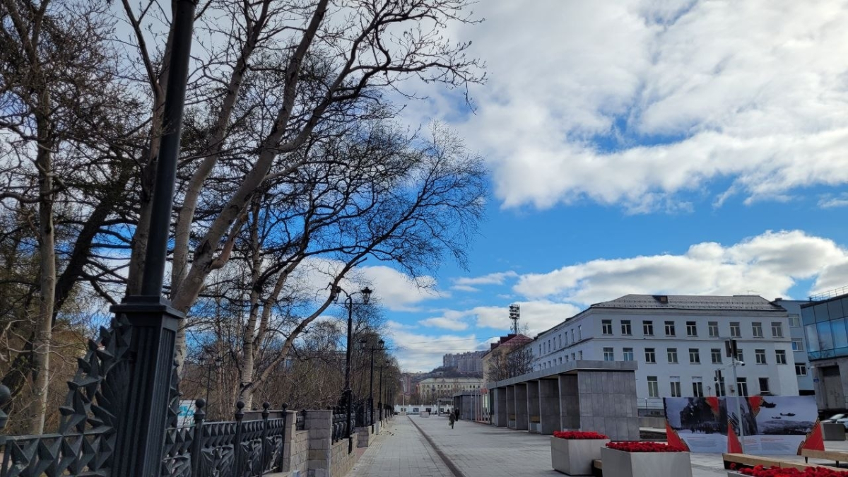 Город Мурманск