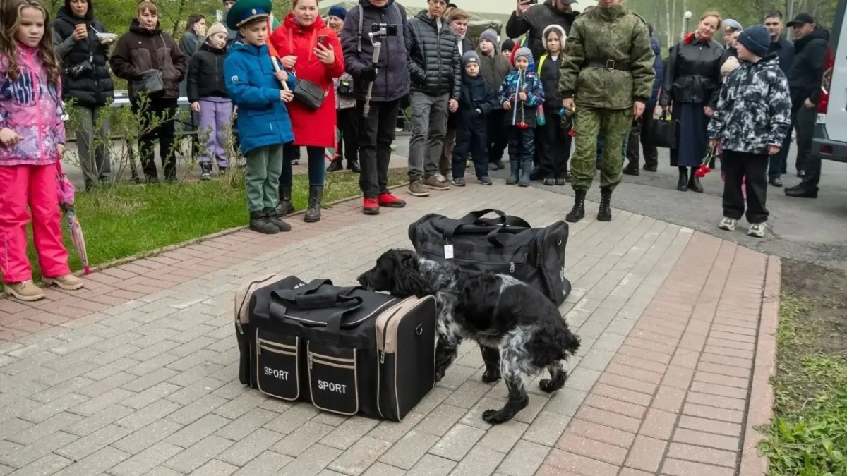 Кинологи-пограничники
