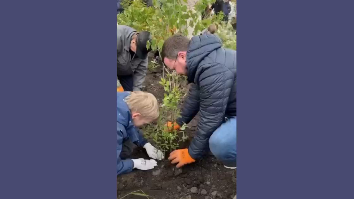 Озеленение Мурманска