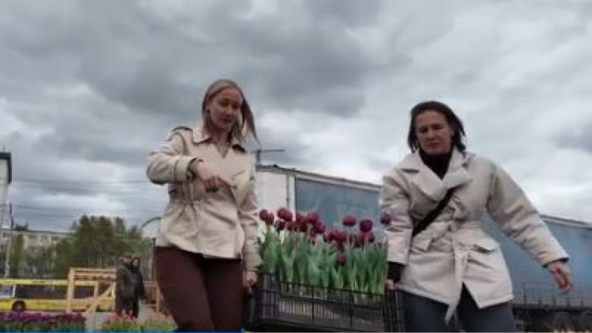 Озеленение Мурманска