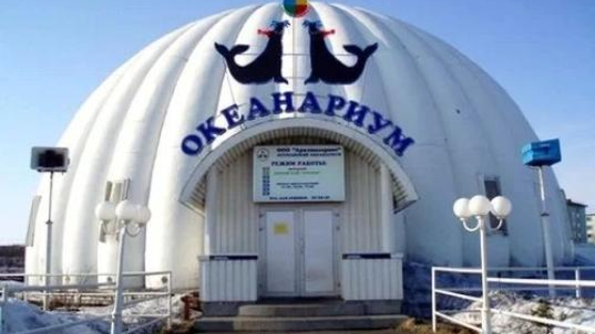 Вход в океанариум