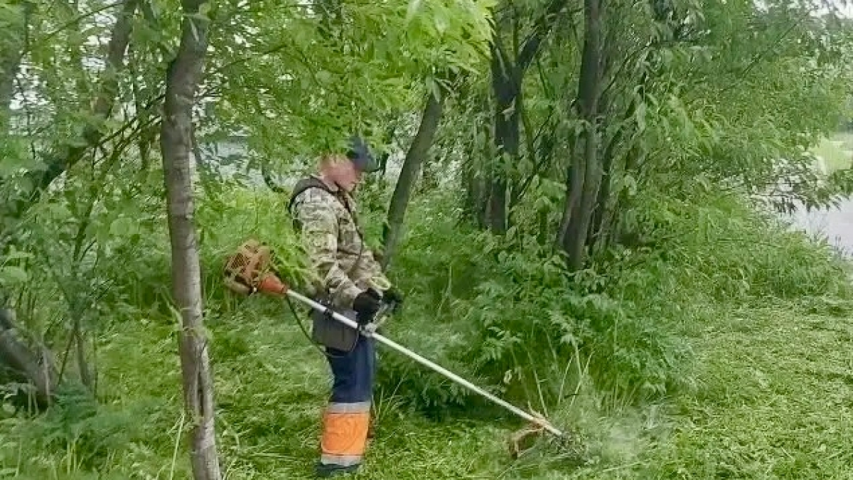 Покос травы