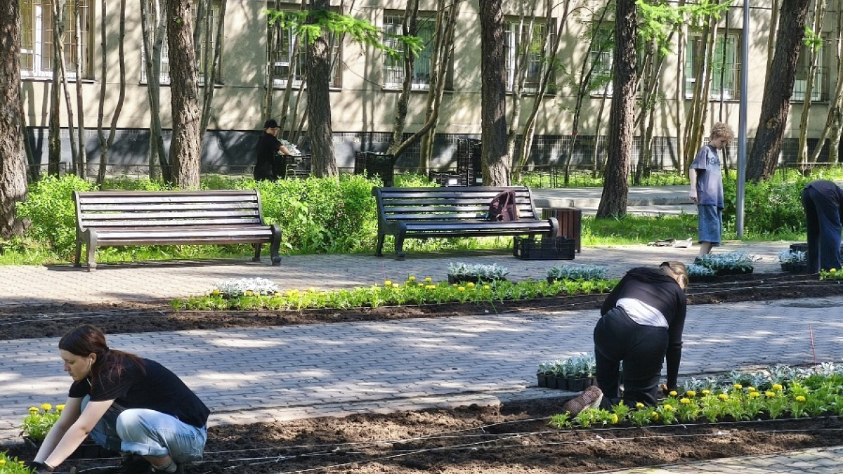 подростки садят цветы на улице