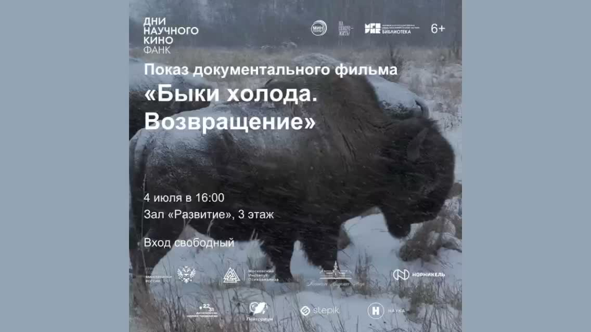 афиша фильма про бизонов