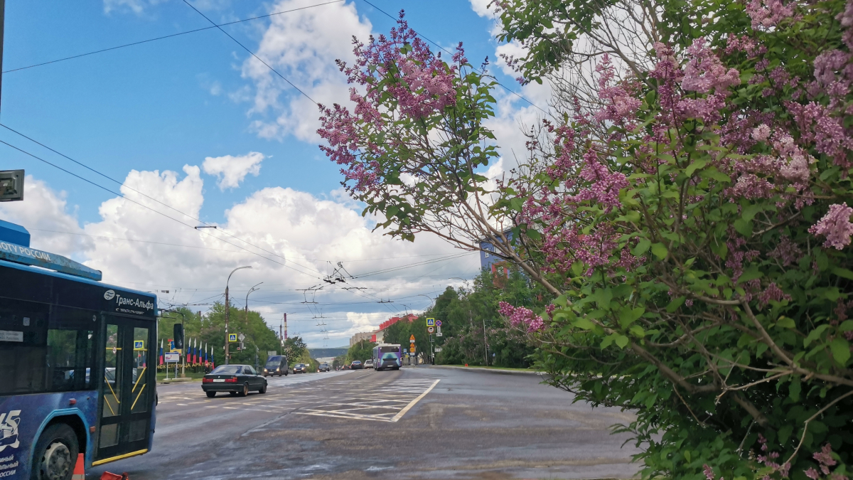 Вид на проспект Ленина