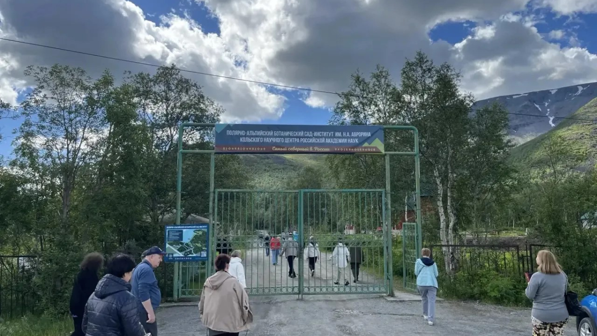 сад кировска