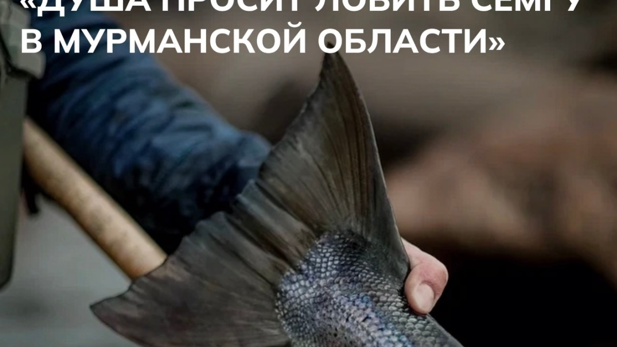 Минтуризма