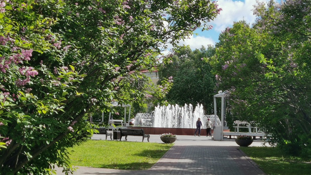 фонтан в летнем парке